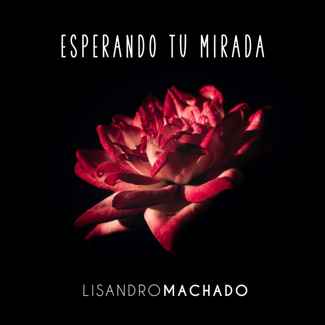 Portada de Esperando tu mirada